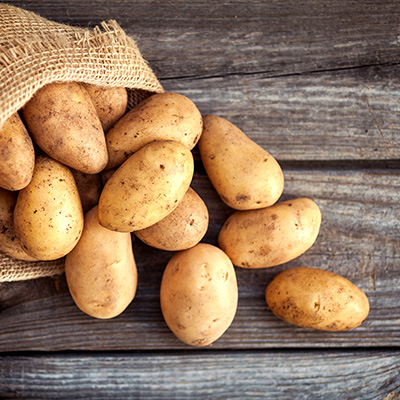 Potato Cold Storage Room